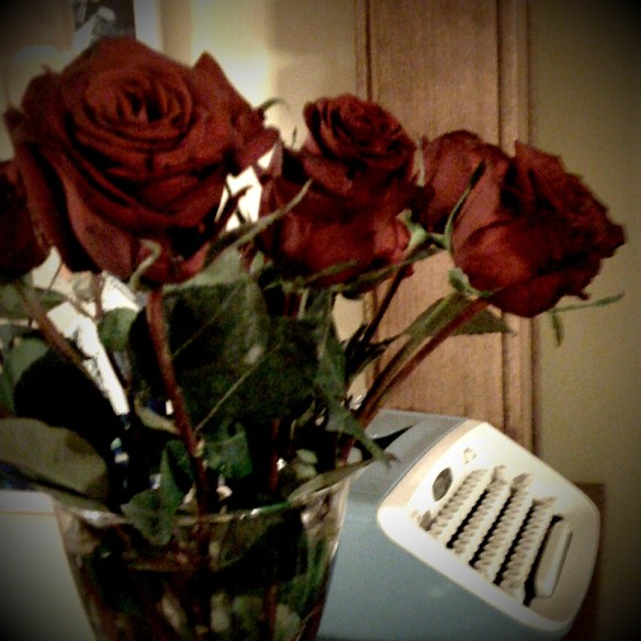 CameraBag_Photo_1006