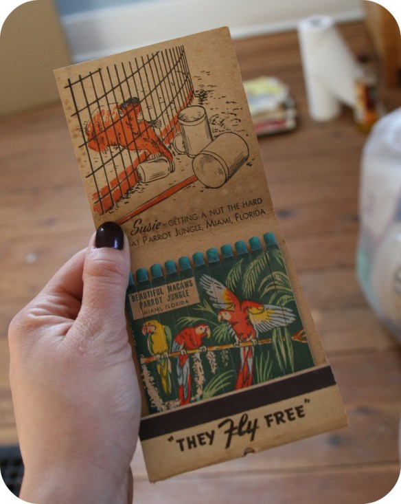 5127561646_eac85b7944_b