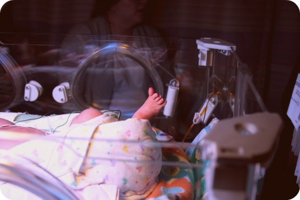 highplainsthrifter_zora