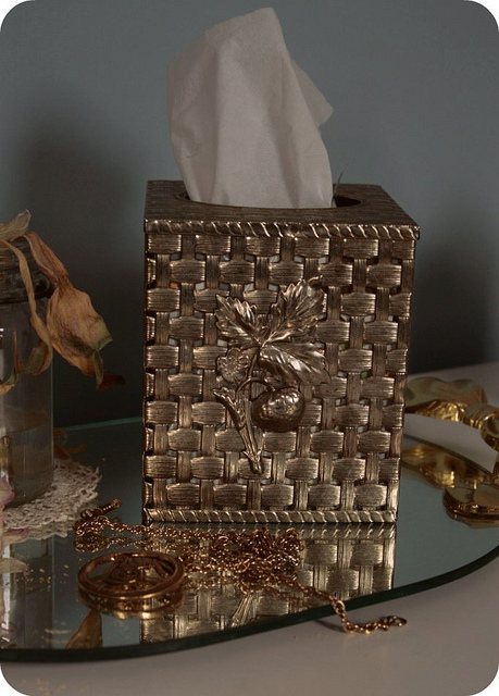 highplainsthrifter_tissuebox