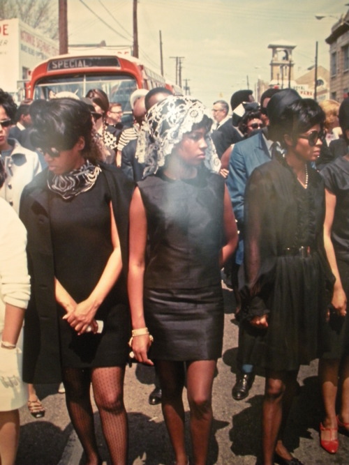 tumblr_lvx4vw681R1r826zwo1_500