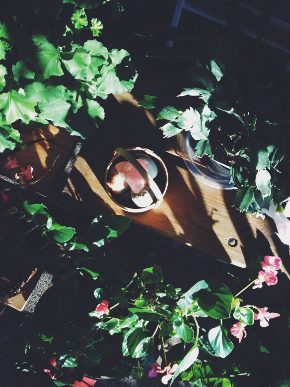 high plains thrifter // clare's well