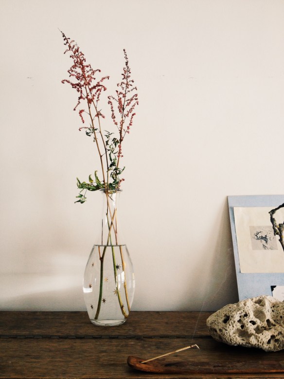 high plains thrifter // recently thrifted