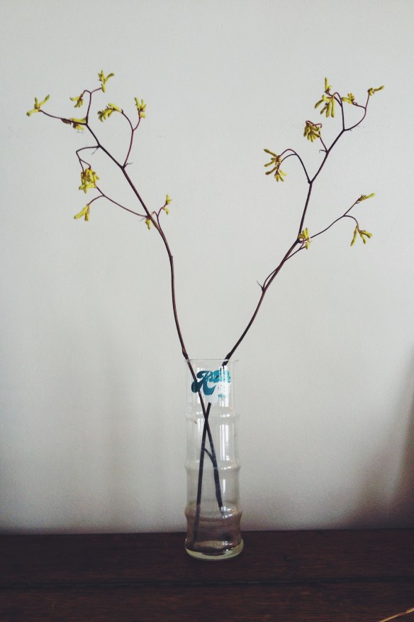 high plains thrifter // thrifted finds