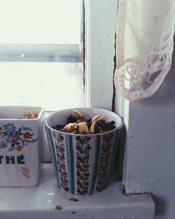 high plains thrifter // lars syberg pottery